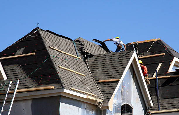 Best Storm Damage Roof Repair  in New California, OH