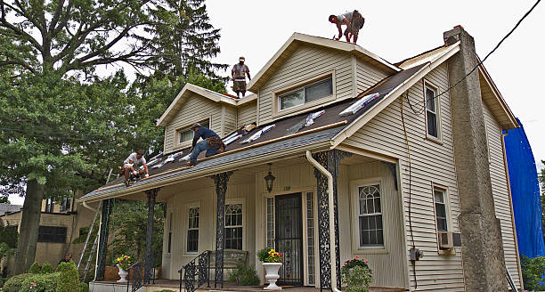 Best Roof Maintenance Services  in New California, OH